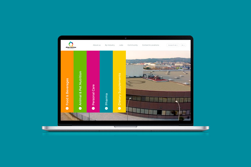 Diseño & Desarrollo Web