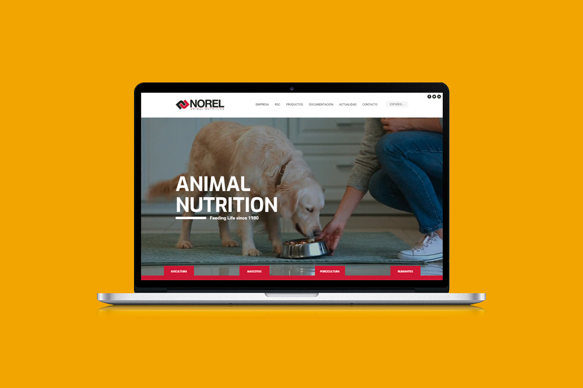 Diseño & Desarrollo Web