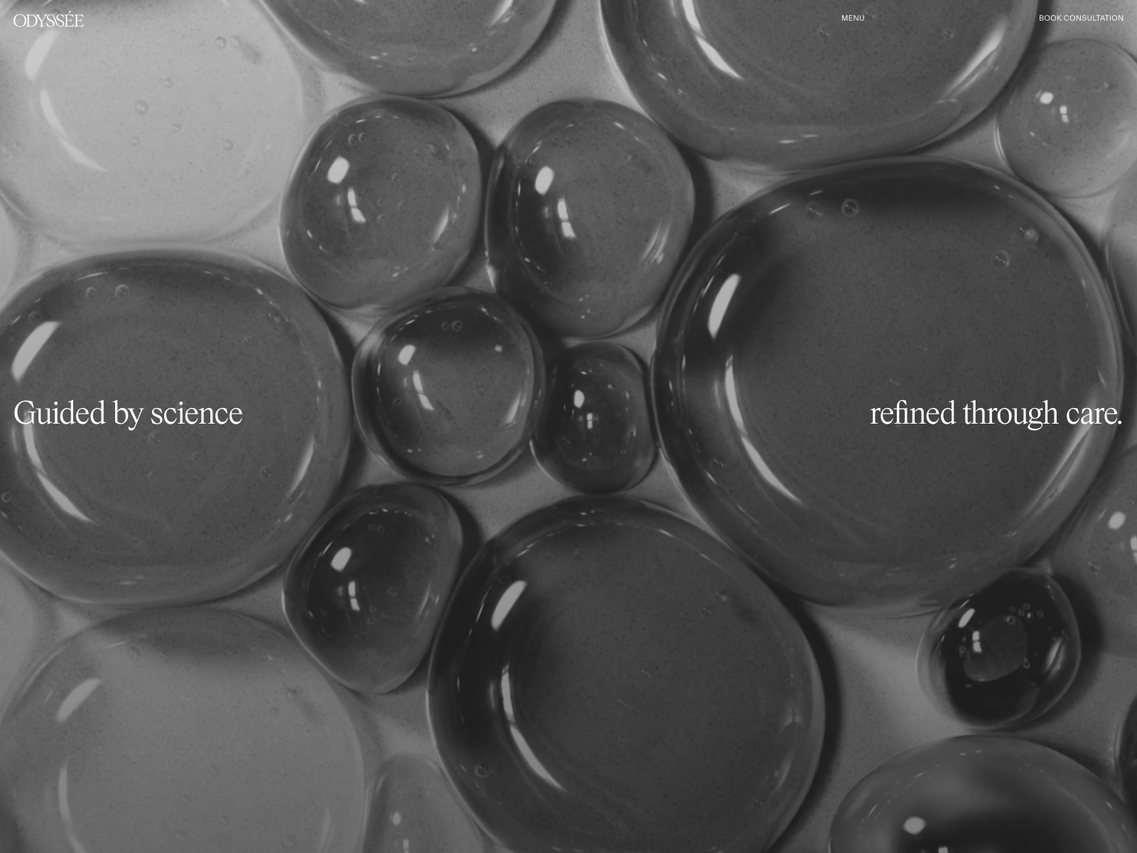 Odyssée website presentation with translucent forms and a grey-toned composition