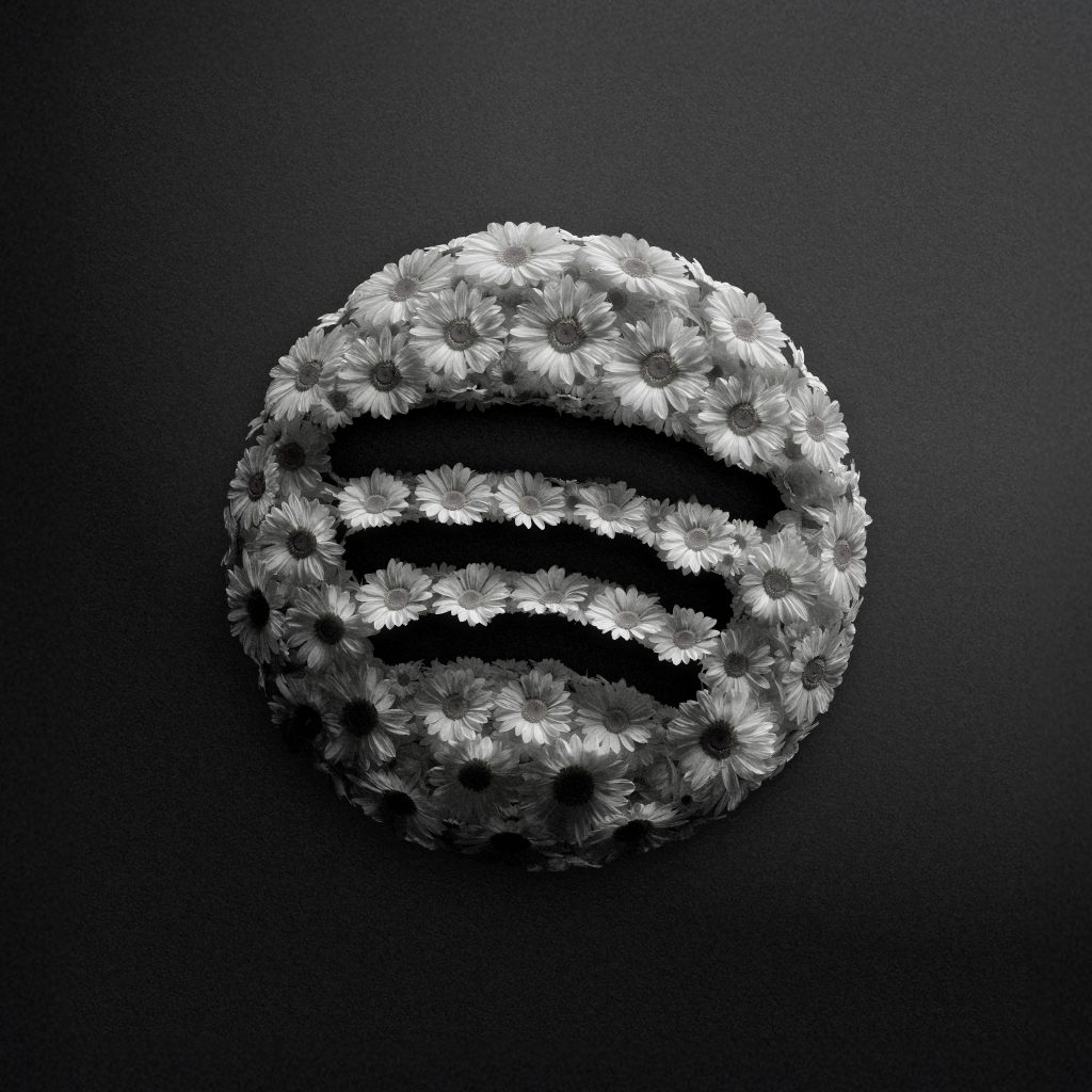 Spotify symbol made from white flowers on a dark background for Wrapped 2025